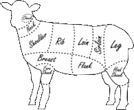 Eine Beschreibung der Edelstücke vom Lamm als Zeichnung