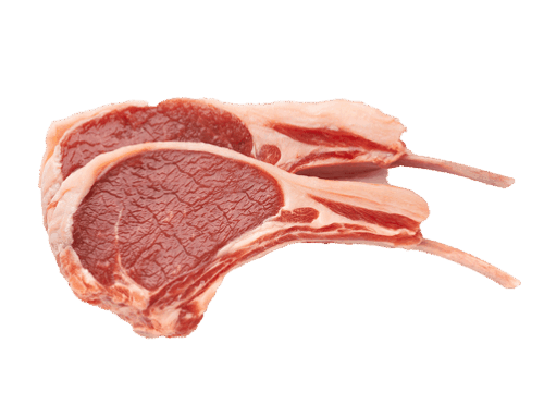 Zwei rohe Fleischstücke vom Lamm